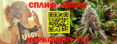 мдпв Нальчик