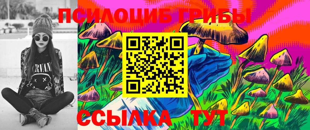 Псилоцибиновые грибы Psilocybe  Вход с VPN  Галлюциногенные грибы GOLDEN TEACHER  Георгиевск 